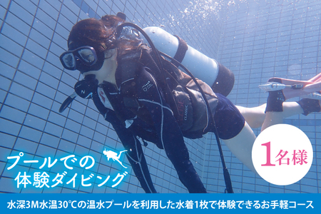 プールでの体験ダイビング(1名)【水中 夏 アクティビティ プール 温水プール ダイビング スポーツ お手軽 体験 マリブ 茨城県 鹿嶋市】(KDA-1)