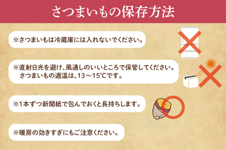 【訳あり】紅はるか約５kg【さつまいも サツマイモ 紅はるか 茨城県 鹿嶋市 10000円以下】（KAM-21）