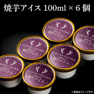 地元中学生が考案！鹿島焼芋 なめらか焼芋アイス 6個【紅はるか 焼き芋 やきいも 冷凍 さつまいも やきいもアイス アイス アイスクリーム 芋 お菓子 おやつ デザート スイーツ 鹿嶋市 茨城県】（KBK-31-1）
