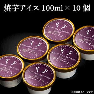 地元中学生が考案！鹿島焼芋 なめらか焼芋アイス 10個【紅はるか 焼き芋 やきいも 冷凍 さつまいも やきいもアイス アイス アイスクリーム 芋 お菓子 おやつ デザート スイーツ 鹿嶋市 茨城県】（KBK-33-1）