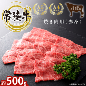 最高級常陸牛 焼肉用（赤身）約500g【茨城県共通返礼品・茨城県産】【常陸牛 和牛 黒毛和牛 国産和牛 国産黒毛和牛 焼肉 BBQ 小分け 赤身肉 鹿嶋市 茨城県】(KCW-23)
