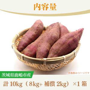 ★先行予約★【2026年10月中旬～11月末頃までの発送品！】【普通栽培】紅はるか 生さつまいも(8kg+約25%補償分)　計 約10kg【サツマイモ 芋 いも べにはるか 新鮮 焼き芋 煮物 天ぷら スイートポテト 鹿嶋市 茨城県】（KAG-42）