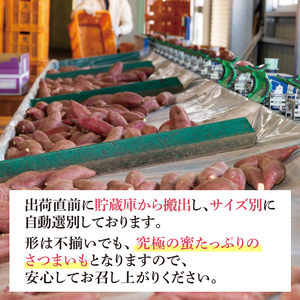 【先行予約】【訳あり 不揃い】完熟高糖度 さつまいも（紅はるか）約5kg（サイズ：2L～4L）【熟成 サツマイモ 焼き芋 キュアリング 茨城県 鹿嶋市産】【2025年12月～順次発送】（KDV-001）
