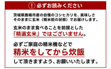 ★令和7年産★ 米 茨城県 鹿嶋市産 厳選 コシヒカリ 玄米 30kg お米 ブランド米 30キロ (KDS-14)