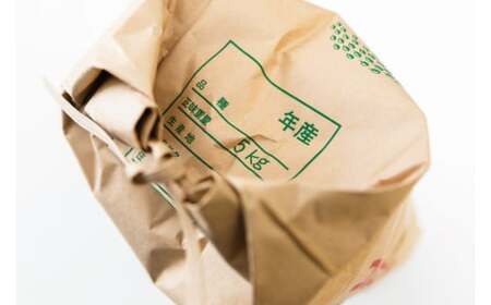 ★令和7年産★【6ヶ月定期便】 米 茨城県 鹿嶋市産 厳選 コシヒカリ 玄米 5kg×6回 (KDS-16)