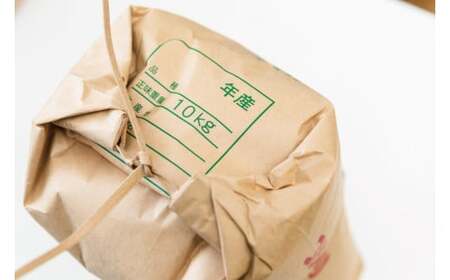 ★令和7年産★【6ヶ月定期便】 米 茨城県 鹿嶋市産 厳選 コシヒカリ 玄米 10kg×6回 (KDS-18)