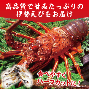 【漁師直送／活〆冷凍】伊勢海老（1kg／2～5尾）（KBL-18)