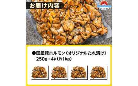 かしまホルモン 炭火焼き オリジナルたれ漬 約１kg（250g×４パック）(KDQ-4)