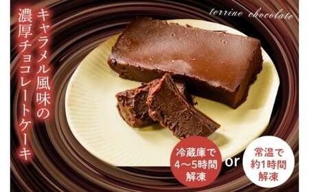 【４ヶ月定期便】テリーヌ　ショコラ 【チョコレート 生クリーム キャラメル バニラ チョコレートケーキ デザート スイーツ 鹿嶋市 茨城県】 （KCX-32）