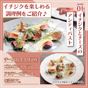 イチジク苗木7号ポット（バナーネ）【苗木 観葉 植物 いちじく 自宅 ポット茨城県 鹿嶋市】（KAE-10）