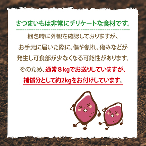 【先行予約】鹿畑ポテト小屋の生さつまいも ふくむらさき 計 約10kg（８kg+約25％補償分）【鹿嶋市 減農薬 熟成 貯蔵 サツマイモ 紫いも 甘い 10キロ 15000円以内】 (KBR-13)