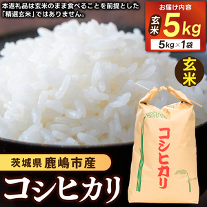 ★先行予約 令和8年産★ 米 コシヒカリ 5kg (玄米) 鹿嶋市産【お米 こしひかり 茨城県 鹿嶋市 15000円以内】 (KDS-26) 24,500円