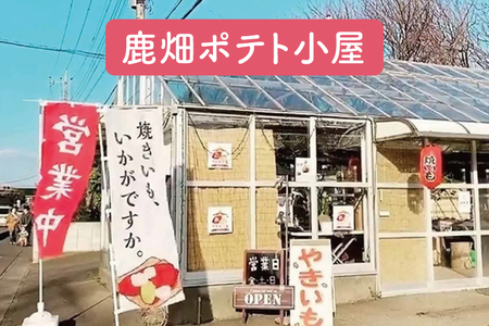 ポテト小屋の生さつまいも 【紅はるか】 5kg 【鹿嶋市 減農薬 サツマイモ 生芋 べにはるか 送料無料 5キロ 10000円以下】 (KBR-3)