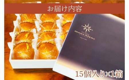 鹿嶋からのおくりものマドレーヌ スイーツ デザート 焼き菓子 送料無料 