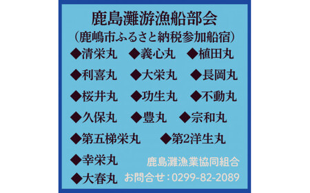 鹿島灘の釣り船乗船　利用補助券（1枚）釣り フィッシング アウトドア (KN-2)
