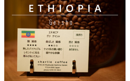 「豆」【3ヶ月定期便】4種飲み比べ・スペシャルティの酸を楽しむローストセット（KV-103）