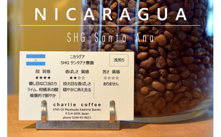 「豆」【3ヶ月定期便】4種飲み比べ・スペシャルティの酸を楽しむローストセット（KV-103）