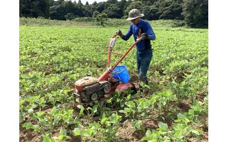 農家が作る自然栽培・無添加ジェラート12個【鹿嶋市 茨城 かしま 送料無料 フルーティー ナチュラル 無添加 オーガニック 豆乳 アイス 麹 甘酒 冷夏 デザート スイーツ おいしい 贈答 ギフト プレゼント 手土産 甘い冷たい ひんやり】(KW-16)