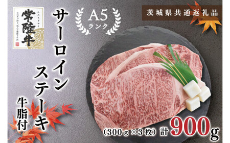 【茨城県共通返礼品・茨城県産】【常陸牛A5ランク】サーロインステーキ 900g(300g×3枚)(KCK-3)