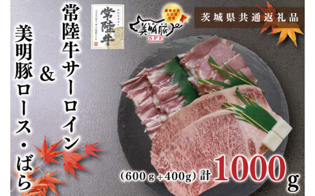 【茨城県共通返礼品・茨城県産】【常陸牛A5ランク・美明豚ステーキ焼肉セット】常陸牛サーロイン600ｇ（300ｇ×２枚）＋美明豚400ｇ（ロース200ｇ・ばら200ｇ）（KCK-35）