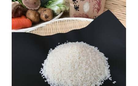 KBE-23　【栽培期間農薬不使用】お米と野菜セット12ヶ月定期便