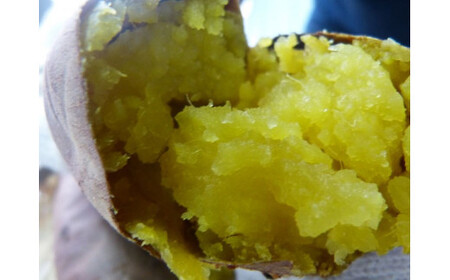 【先行予約】【令和7年11月発送】焼き芋好きのためのさつま芋　紅はるか5kg【茨城県共通返礼品・行方市産】（KBE-58）