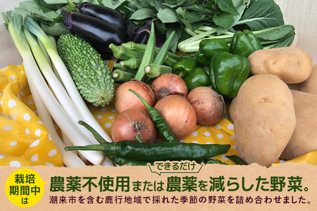 『身体が喜ぶ野菜』詰め合わせ ( おまかせ 10～12品) 野菜 詰合せ 詰め合わせセット お任せ 季節の野菜 セット 栽培期間中農薬不使用 有機栽培 微生物農法 EM農法 露地栽培 産地直送 新鮮 野菜ボックス ギフト 家庭用 茨城県 潮来市 (A03-001)