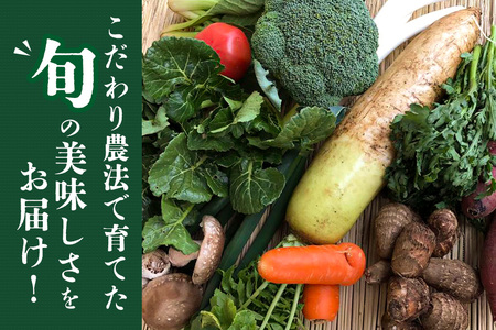 『身体が喜ぶ野菜』詰め合わせ ( おまかせ 10～12品) 野菜 詰合せ 詰め合わせセット お任せ 季節の野菜 セット 栽培期間中農薬不使用 有機栽培 微生物農法 EM農法 露地栽培 産地直送 新鮮 野菜ボックス ギフト 家庭用 茨城県 潮来市 (A03-001)