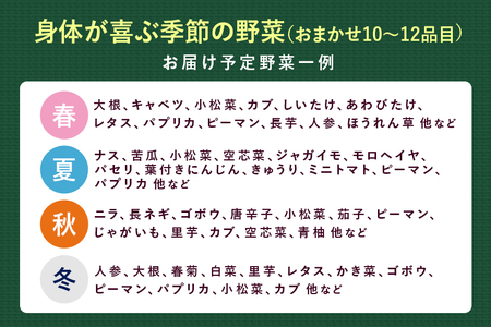 『身体が喜ぶ野菜』詰め合わせ ( おまかせ 10～12品) 野菜 詰合せ 詰め合わせセット お任せ 季節の野菜 セット 栽培期間中農薬不使用 有機栽培 微生物農法 EM農法 露地栽培 産地直送 新鮮 野菜ボックス ギフト 家庭用 茨城県 潮来市 (A03-001)