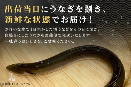 増田川魚店うなぎ白焼＜特上2本＞ うなぎ 白焼き 特上 2本 愛知県三河産 国産 ウナギ 鰻 しらやき タレ 山椒付き 炭火焼き 冷蔵便 贈答用 ギフト 家庭用 土用の丑 茨城県 潮来市 (A07-002)