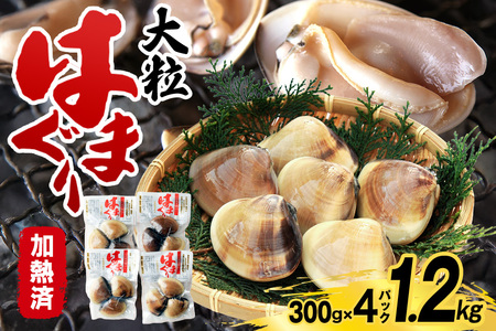 茨城県産 大粒はまぐり 加熱済 300g×4パック 国産 はまぐり ハマグリ 鹿島灘産 砂抜き不要 調理簡単 酒蒸し お吸い物 つくだ煮 貝専門店の厳選品 贈答用 ギフト 常温 茨城県 潮来市 (A14-002)