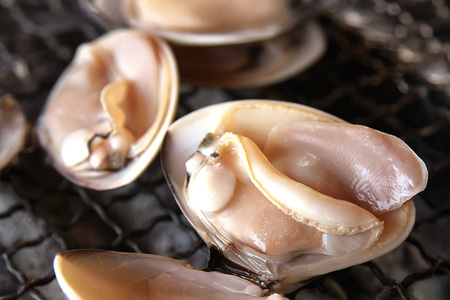 茨城県産 大粒はまぐり 加熱済 300g×4パック 国産 はまぐり ハマグリ 鹿島灘産 砂抜き不要 調理簡単 酒蒸し お吸い物 つくだ煮 貝専門店の厳選品 贈答用 ギフト 常温 茨城県 潮来市 (A14-002)