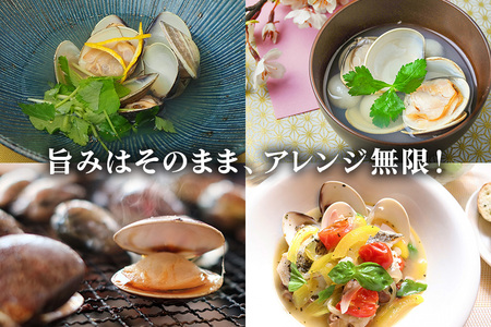 茨城県産 大粒はまぐり 加熱済 300g×4パック 国産 はまぐり ハマグリ 鹿島灘産 砂抜き不要 調理簡単 酒蒸し お吸い物 つくだ煮 貝専門店の厳選品 贈答用 ギフト 常温 茨城県 潮来市 (A14-002)