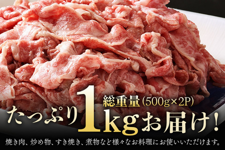 【ふるなびWEEK対象】茨城県産 常陸牛 切り落とし 1kg (500g×2パック) 国産 和牛 牛 牛肉 ブランド牛 肉質柔らか ジューシー 焼肉 すき焼き 煮物 炒め物 小分け パック 冷凍配送 BBQ 贈答用 ギフト 茨城県 潮来市 「茨城県共通返礼品」(A12-006) FN-Limited-PR