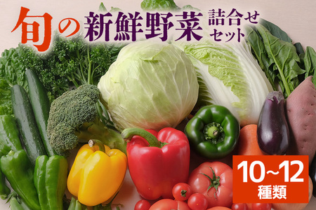 旬の新鮮野菜 詰め合わせセット 10?12種類 季節の野菜 農家直送 朝採れ 採れたて 野菜 詰合せ セット 詰め合わせ シャキシャキ 産地直送 無農薬栽培含む 道の駅いたこ 人気 贈答用 ギフト 家庭用 茨城県 潮来市 (A04-002)