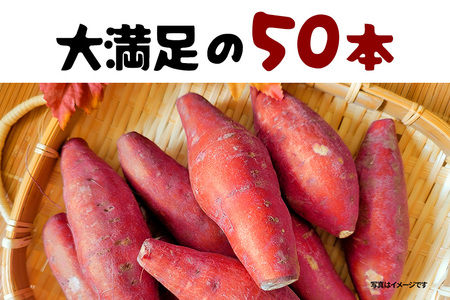 紅はるか 冷凍焼き芋 50本 (合計8～9kg) 電子レンジ対応袋使用 茨城県産 さつまいも 個包装 遠赤外線焼き上げ シャーベット風 焼き芋スムージー 焼き芋ラテ イベント 催事用 大容量 茨城県 潮来市 (A40-005)