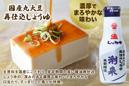 国産丸大豆再仕込み生しょうゆ 200ml×2本 特選しょうゆ潮来 200ml×1本 セット 濃厚な旨味 まろやか風味 フレッシュボトル使用 刺身 冷奴 煮物 煮魚 調味料 贈答用 ギフト お歳暮 茨城県 潮来市 (A09-003)