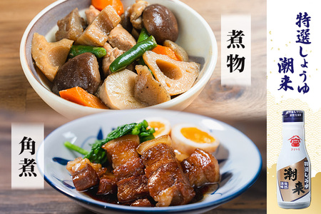 国産丸大豆再仕込み生しょうゆ 200ml×2本 特選しょうゆ潮来 200ml×1本 セット 濃厚な旨味 まろやか風味 フレッシュボトル使用 刺身 冷奴 煮物 煮魚 調味料 贈答用 ギフト お歳暮 茨城県 潮来市 (A09-003)