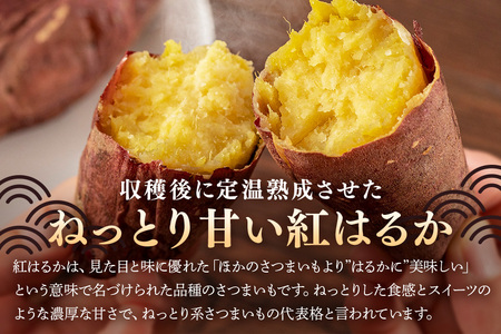 さつまいも 熟成紅はるか 約10kg 無選別 (L～Sサイズ) 茨城県産 ねっとり 甘い 焼き芋 大学芋 天ぷら 熟成 自然の甘み スイーツ 野菜 サツマイモ 茨城県 潮来市 (A52-001)