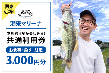 潮来マリーナ 施設内共通利用券 3,000円分 (1,000円×3枚) へらブナ釣り ブラックバス釣り ニジマス釣り 渚食堂 バスボート駐艇場利用可能 釣り堀体験 レジャー チケット 茨城県 潮来市 (A49-003)