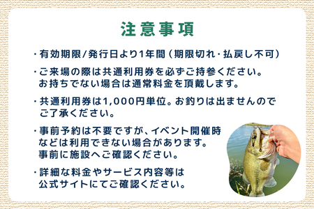 潮来マリーナ 施設内共通利用券 3,000円分 (1,000円×3枚) へらブナ釣り ブラックバス釣り ニジマス釣り 渚食堂 バスボート駐艇場利用可能 釣り堀体験 レジャー チケット 茨城県 潮来市 (A49-003)