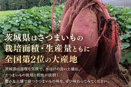さつまいも 熟成紅はるか 約5kg 無選別(L～Sサイズ) 茨城県産 ねっとり 甘い 焼き芋 大学芋 天ぷら 自然の甘み スイーツ 野菜 サツマイモ 茨城県 潮来市 (A52-003)