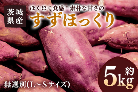 さつまいも すずほっくり 約5kg 無選別(L～Sサイズ) 茨城県産 ホクホク 食感 焼き芋 天ぷら 大学芋 しっとり 舌触り 自然の甘み スイーツ 野菜 サツマイモ 茨城県 潮来市 (A52-004)