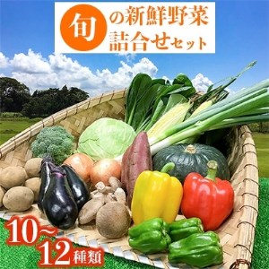 旬の新鮮野菜詰合せセット【1239636】