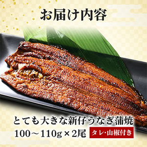 国内産やわらか新仔うなぎ蒲焼2尾　合計200～220g(食べ切りサイズ)【配送不可地域：離島】【1329497】