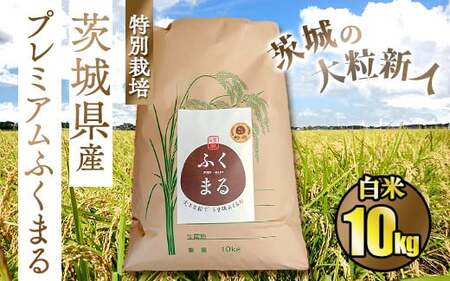 ☆茨城の大粒新人 プレミアムふくまる特別栽培米10kg【白米】