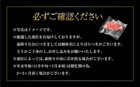 【年内発送 12/17迄受付】【特選】常陸牛(ひたちぎゅう) A5等級 サーロインステーキ 2枚(250g×2) 計500g(茨城県共通返礼品 茨城県産)