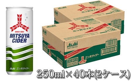 人気炭酸飲料三ツ矢サイダー250ml×40本(2ケース)