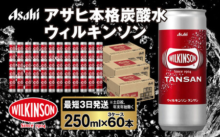 人気炭酸水ウィルキンソン250ml×60本(3ケース)