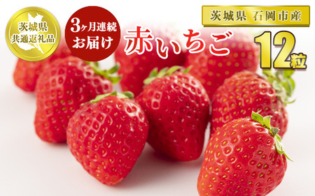 【定期便3ヶ月】赤いちご12粒【茨城県共通返礼品 石岡市】※2025年1月上旬～3月下旬頃に順次発送予定